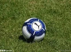 独家揭秘,记者亲历,横滨旧将重,欧亿体育官网,OUYI,Sports,足球直播,篮球赛事,体育高清,NBA直播